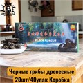 Черные грибы древесные 20шт/40упак Коробка /24