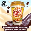 Напиток молочный с шоколадом и фруктовым желе 巧克力味 80г/шт /259-1